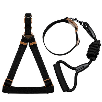 

British impression dog chain dog leash dog leash dog leash p chain dog collar Teddy poodle small medium&large dog dog collar collar strap black S-small