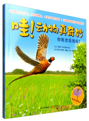 

哇！动物真奇妙：你能发现我吗？