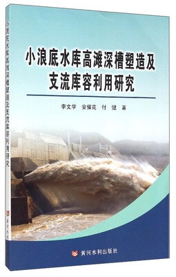 

小浪底水库高滩深槽塑造及支流库容利用研究