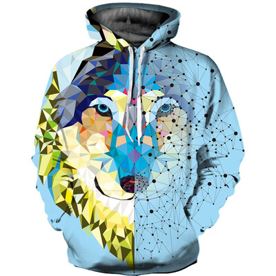 

QL-579 Mens Hoodie 3D Printed Women Pullover Sweater