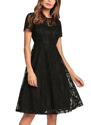

Sheer Lace Pleated O Neck Short Sleeve High Waist Swing Dress Homecoming Dress