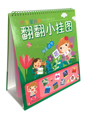 

好宝宝启蒙翻翻小挂图：拼音识字