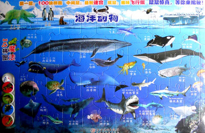 

魔法IQ拼图海洋动物