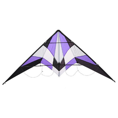 

18M Big Professional Colorful Kite Double Line Stunt Kite Double Line Kite
