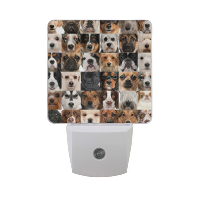 

ALAZA LED Night Light With Smart Dusk To Dawn SensorGirl With Her Flower And Dog Oil Painting Plug In Night Light
