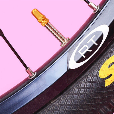 

2Pcs Bicycle Wheel Tire Covered Protector Road MTB French Tyre Dustproof Bike Presta Valve Cap Accessories