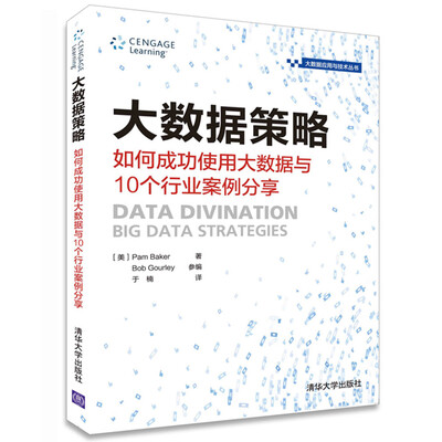 

大数据策略 如何成功使用大数据与10个行业案例分享/大数据应用与技术丛书