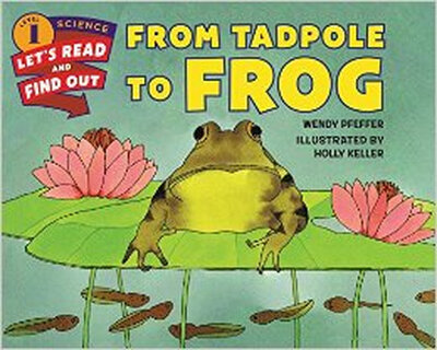 

From Tadpole to Frog