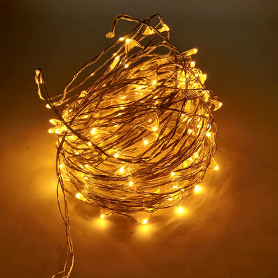 

ZDM 10M 100 LED Copper Wire String Light for Festival Christmas Party Decoration DC12V