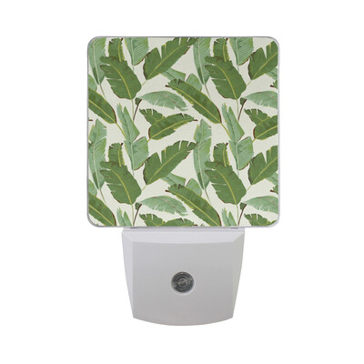 

ALAZA LED Night Light With Smart Dusk To Dawn SensorExotic Floral Frame Plug In Night Light