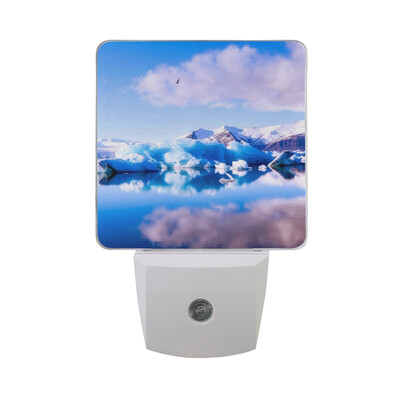 

ALAZA LED Night Light With Smart Dusk To Dawn SensorFlamingo Sketch Seamless Pattern Plug In Night Light