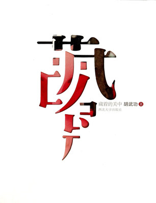 

藏着的关中