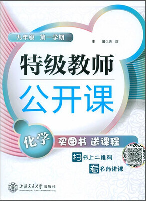 

特级教师公开课化学(9年级 第1学期