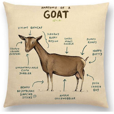 

Funny Animals Anatomy Flamingo Fox Dachshund Giraffe Hedgehog Lion Pug Squirrel Cushion Cover Sofa Throw Pillow Case