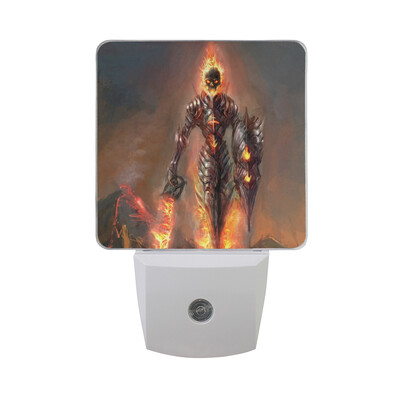 

ALAZA LED Night Light With Smart Dusk To Dawn SensorAustralian Shepherd Blue Merle Dog Animal Plug In Night Light