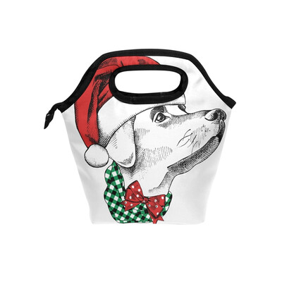 

Lunch Bag Red Cap Dog Tote Travel Picnic Insulated Handbags Portable Zipper Lunch Bag Box
