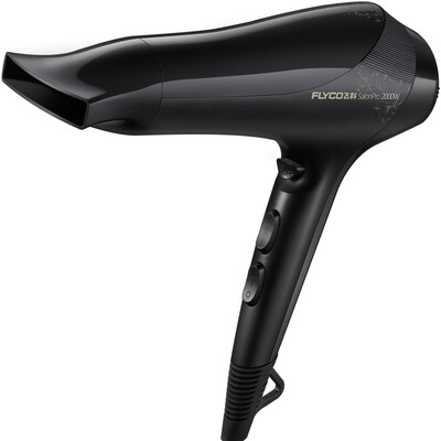 

FLYCO Hair Drier High Power Negative Ionic 2000W household