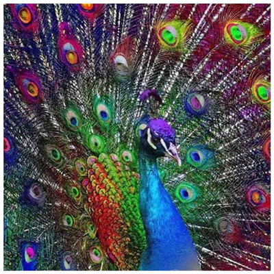 

UpperX DIY Diamond Painting Cross Stitch Diamond Peacock Home Decor Full Rhinestone Mosaic 5D Diamond Embroidery 30x40cm