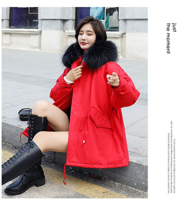 

The 2018 winter dress han edition big raccoon fur collar down jacket is thin loose&thick