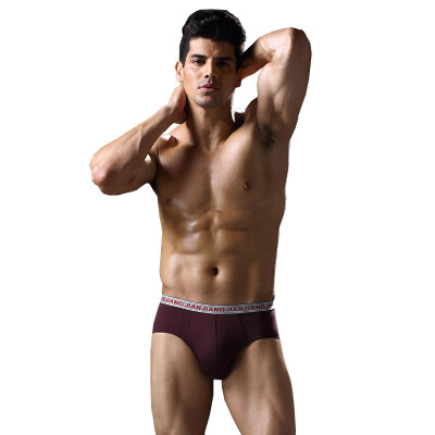 

Jianjiang 2 Pairs Men's Pure Color Brief Underwear Cotton