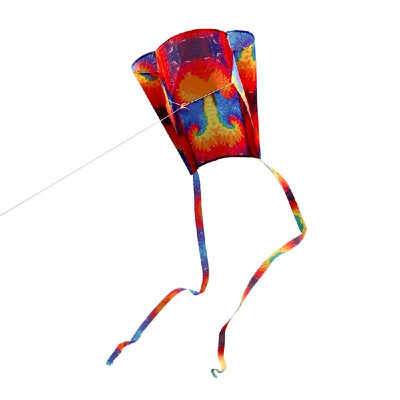 

Colorful Parafoil Kite with 200cm Tails 30m Flying Line Outdoor Soft Fly Kite