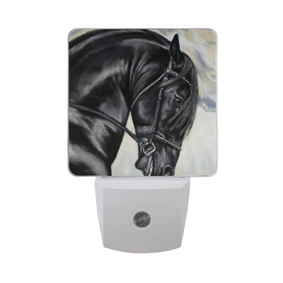 

ALAZA LED Night Light With Smart Dusk To Dawn SensorHorse Unicorn With Young Mystic Woman On Canvas Plug In Night Light