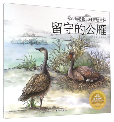 

留守的公雁