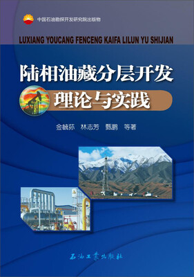 

陆相油藏分层开发理论与实践