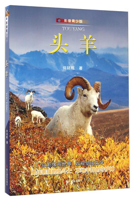 

头羊（影像青少版）
