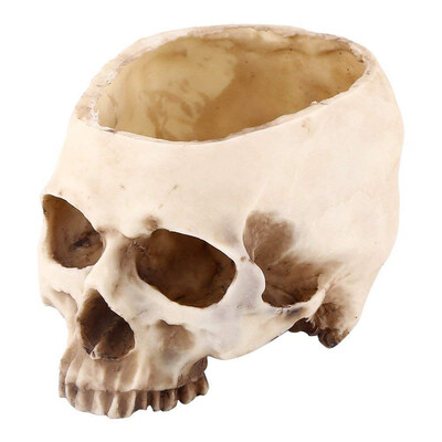

UpperX Artificial Resin Skull Head Flower Pot Plant Bowl Container Garden Planter Multifunctional Home Bar Table Decor Ornament