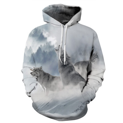 

QYDM0292Mens Hoodie 3D Printed Women Pullover Sweater