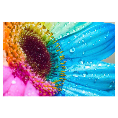 

UpperX Full Drill Round Diamond 5D DIY Diamond Painting"Colorful sunflowers"Diamond Embroidery Cross Stitch Mosaic Painting