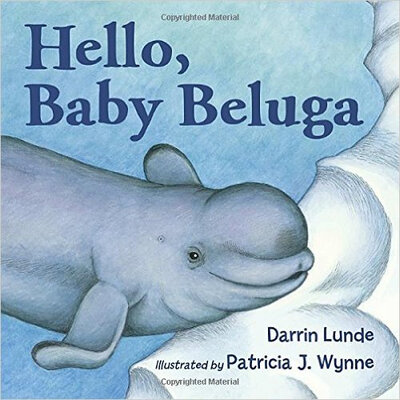 

Hello Baby Beluga