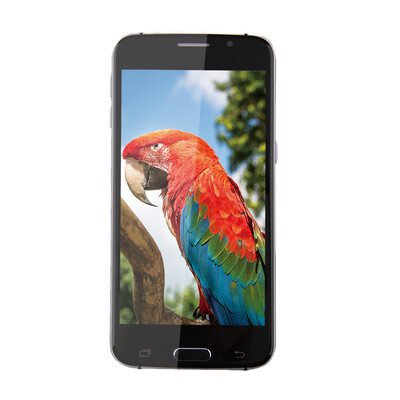 

Новый 5.0inch S6pro Dual Core 1.3GHz разблокирована для андроид 4.4.2 Smartphone