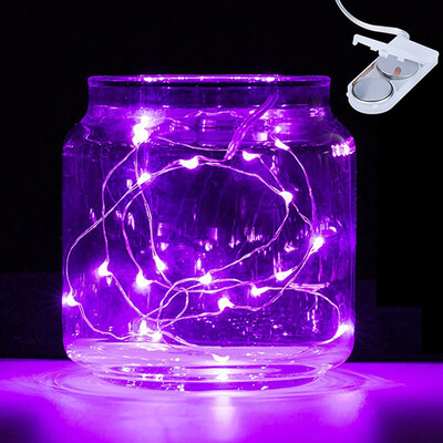 

BRELONG 2m20LED Copper wire string lights For Christmas Indoor Decorations 1pcs