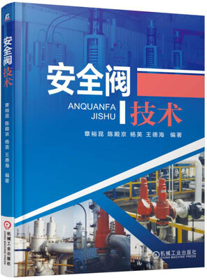 

安全阀技术