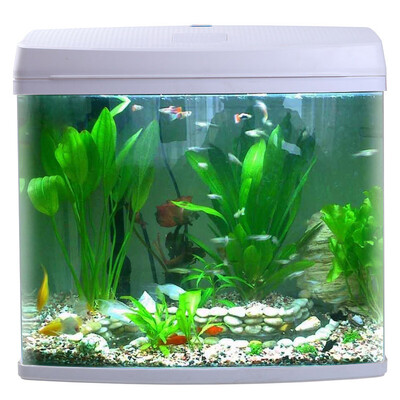 

Fish treasure fish tank aquarium built-in water cycle free of water creative ornamental goldfish tank BXB-50