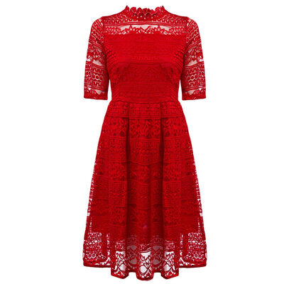 

Elegant Round Collar Lace Embroidery Hollow Out Slim Women Dress