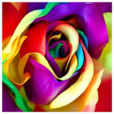 

UpperX 5D DIY diamond embroidery Coloured flower bud diamond painting Cross Stitch full square drill Rhinestone mosaic decoration