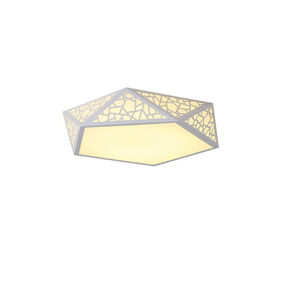 

JX208 - 24W - WJ Promise Dimming Ceiling Lamp AC 220V