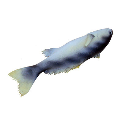 

UpperX Vivid Artificial Mandarin Fish Model Imitation Food Home Store Pretend Decor