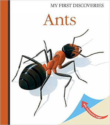 

ANTS