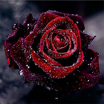 

UpperX Drop Of Water Rose Drill DIY 5D Diamond Embroidery Needlework Diamond Painting Cross Stitch Kits Home Decor