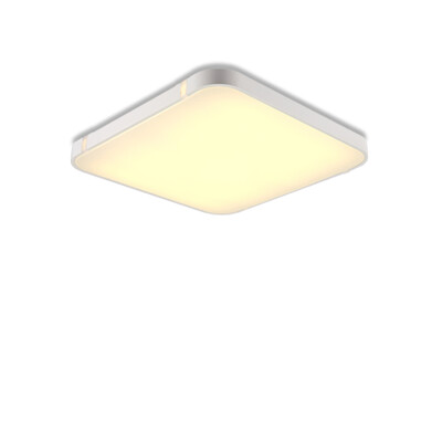 

I507B - 24W - WJ Promise Dimmable Ceiling Light AC 220V