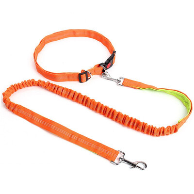 

Hands Free Dog Leash for Running Walking Hiking