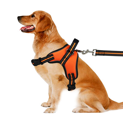 

Dream Bubble Pet Chest Strap Dog Pulling Large&Medium Dogs Dog Chain Chest Strap Collar Leash Dog Dog Rope Dog