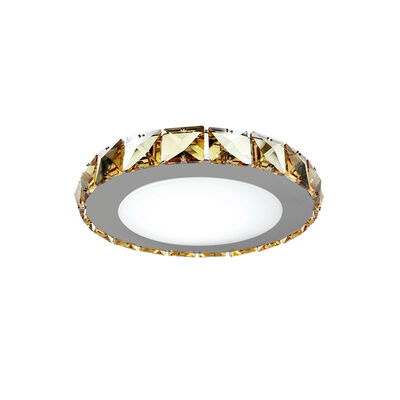 

JX828 - 7W - WW Warm White Ceiling Light AC 220V