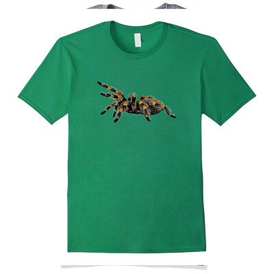 

Arachnid Tarantula Spider T Shirt