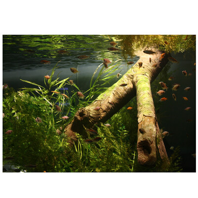 

PVC Waterproof Single Side Ocean Natural Landscape Fish Bowl Sticker Aquarium Background Poster Wall Picture