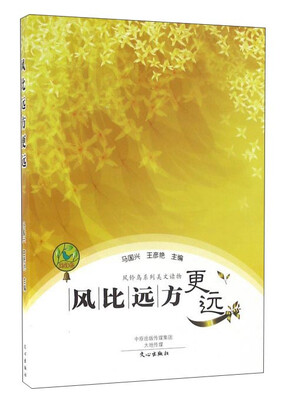 

风比远方更远